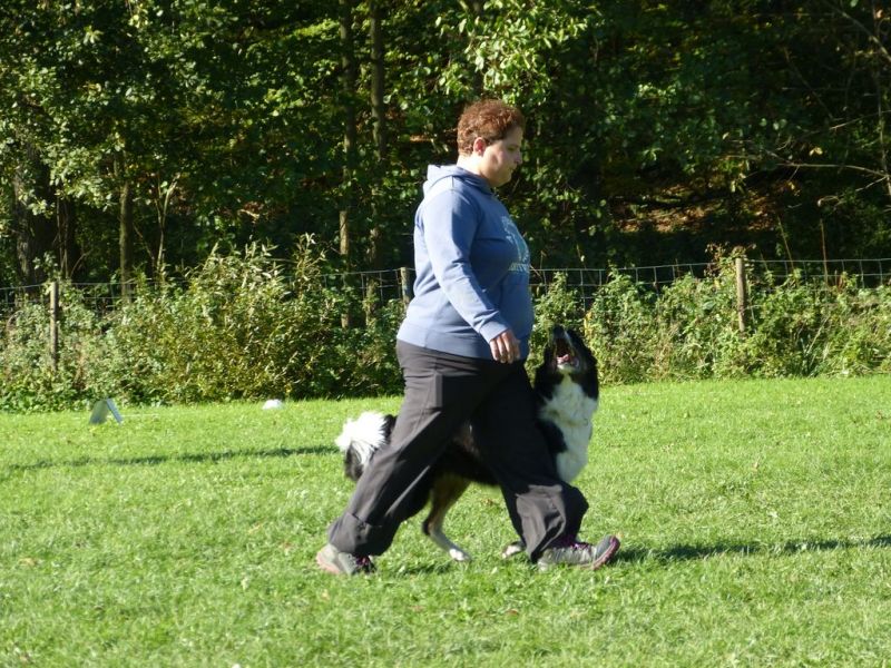 Obi-Prüfung Oktober 2017