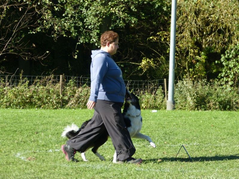 Obi-Prüfung Oktober 2017