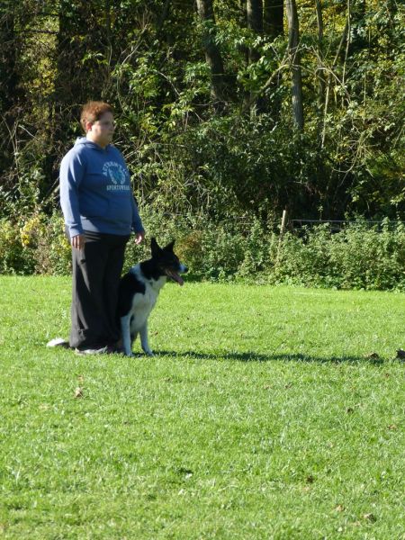 Obi-Prüfung Oktober 2017