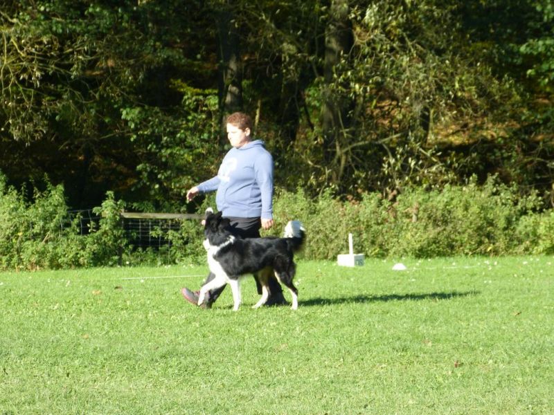 Obi-Prüfung Oktober 2017
