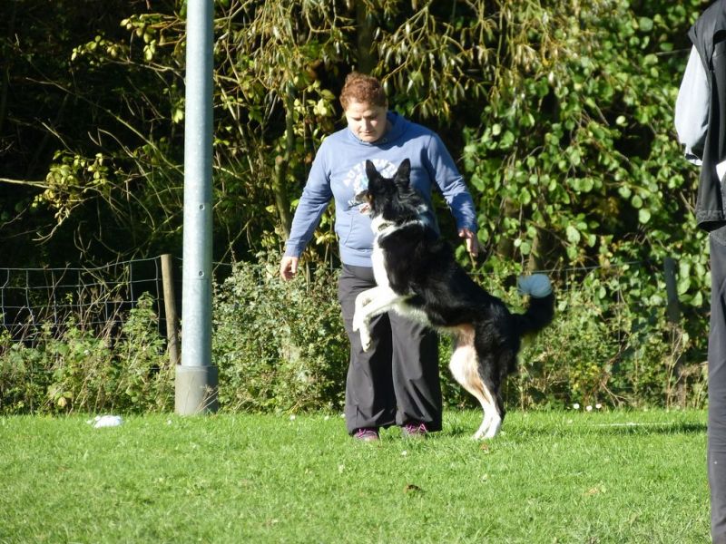 Obi-Prüfung Oktober 2017