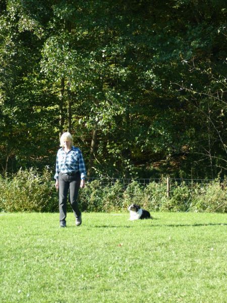 Obi-Prüfung Oktober 2017