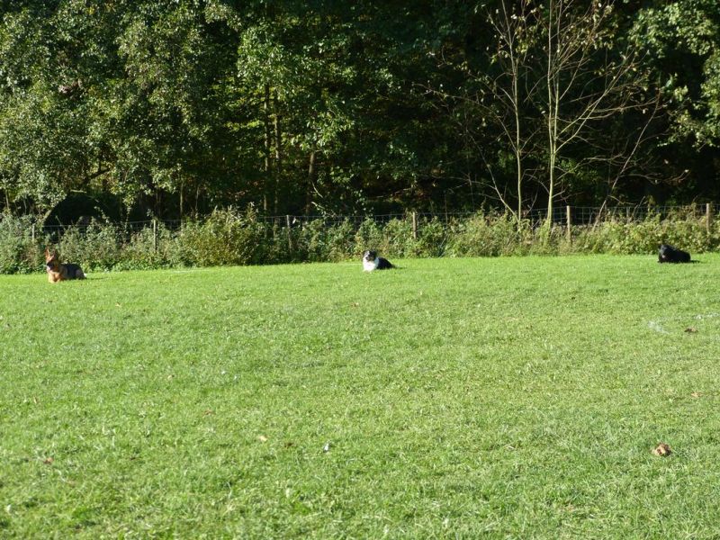 Obi-Prüfung Oktober 2017
