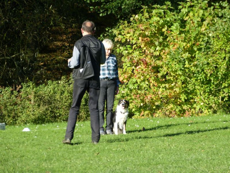 Obi-Prüfung Oktober 2017