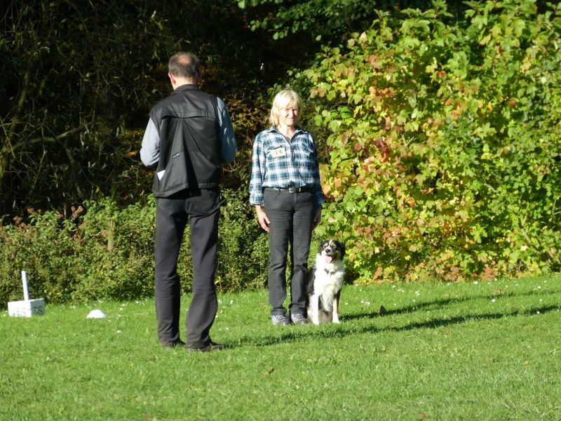 Obi-Prüfung Oktober 2017