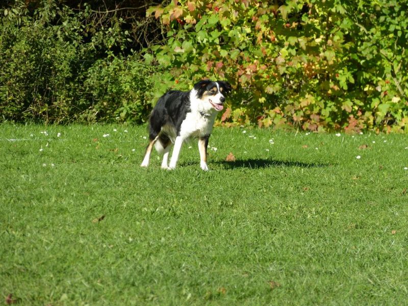 Obi-Prüfung Oktober 2017