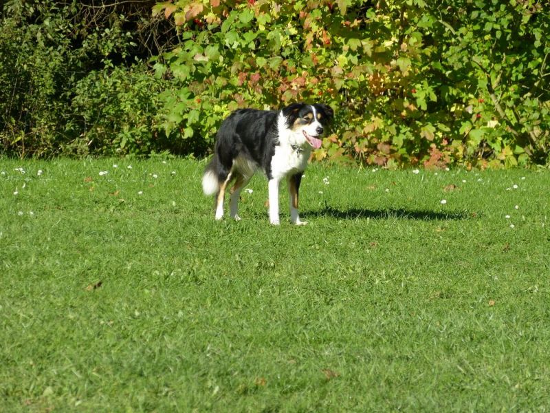 Obi-Prüfung Oktober 2017