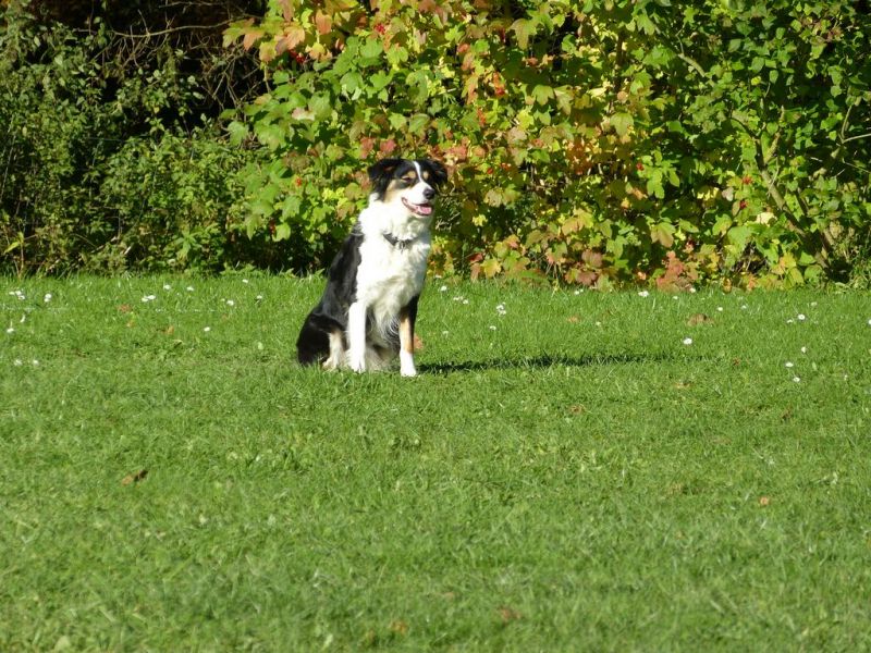 Obi-Prüfung Oktober 2017