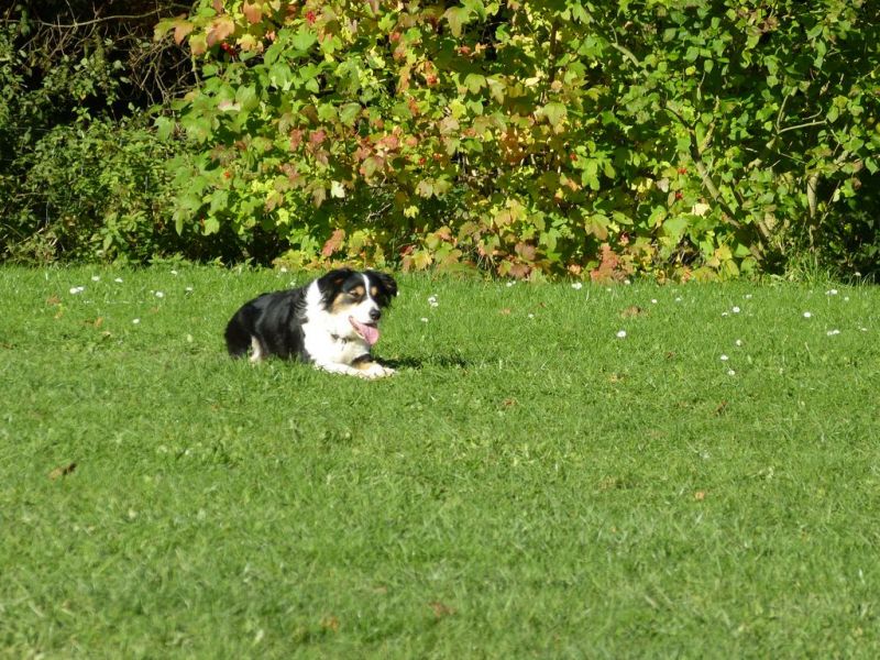 Obi-Prüfung Oktober 2017