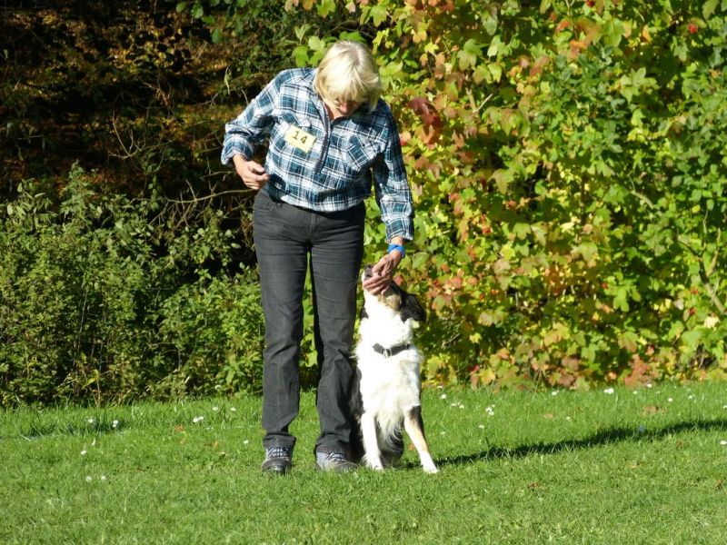 Obi-Prüfung Oktober 2017