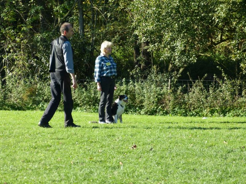 Obi-Prüfung Oktober 2017