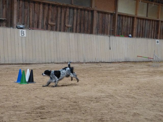 Obiseminar Weiss