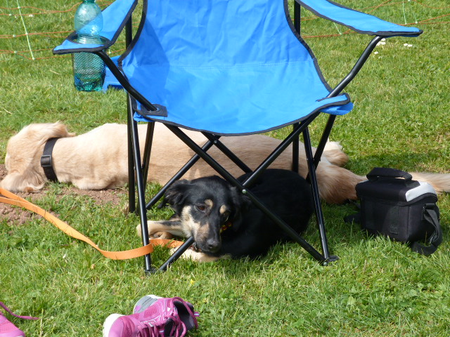 Pfingsttreffen 2015
