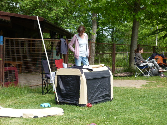 Pfingsttreffen 2015