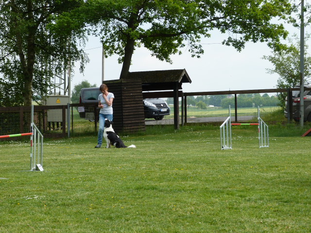 Pfingsttreffen 2015