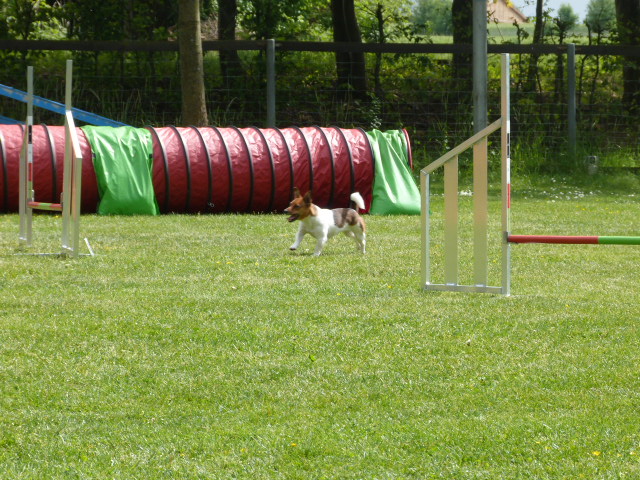 Pfingsttreffen 2015