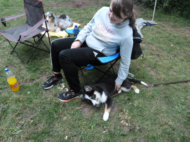Pfingsttreffen 2015