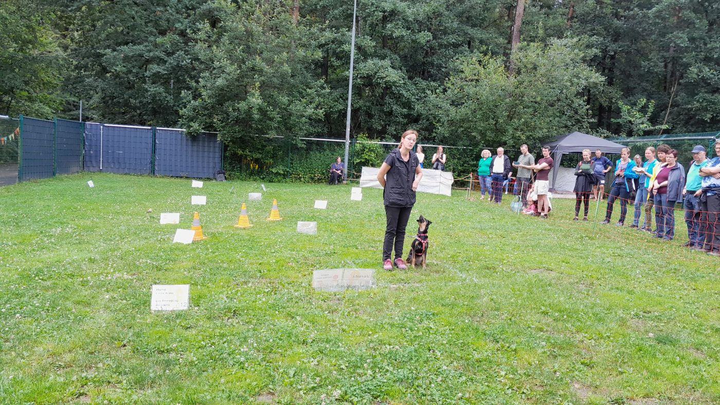 Ralley-O im Tierheim