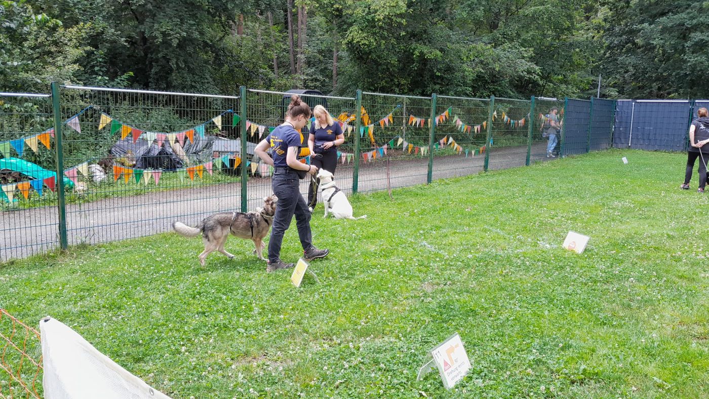 Ralley-O im Tierheim