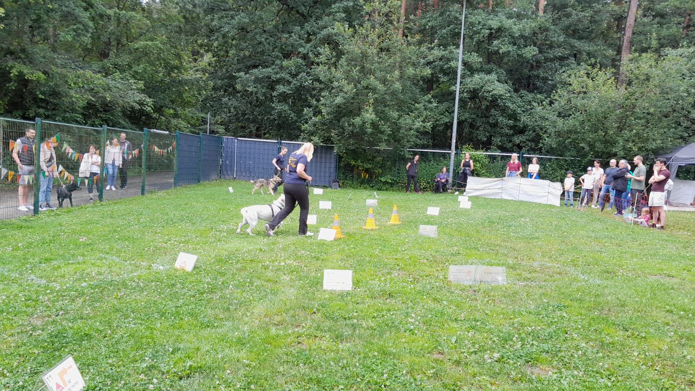 Ralley-O im Tierheim