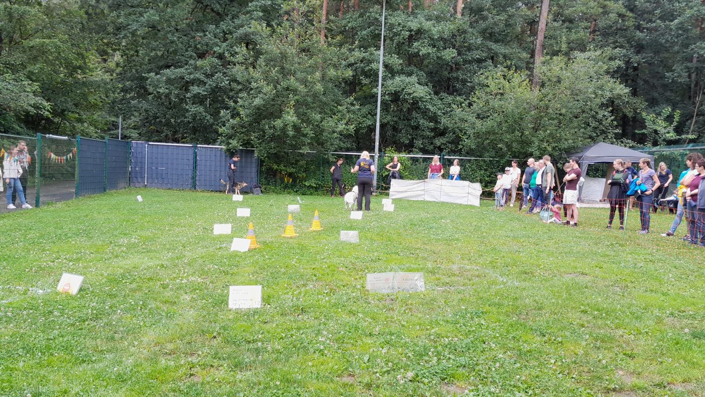 Ralley-O im Tierheim