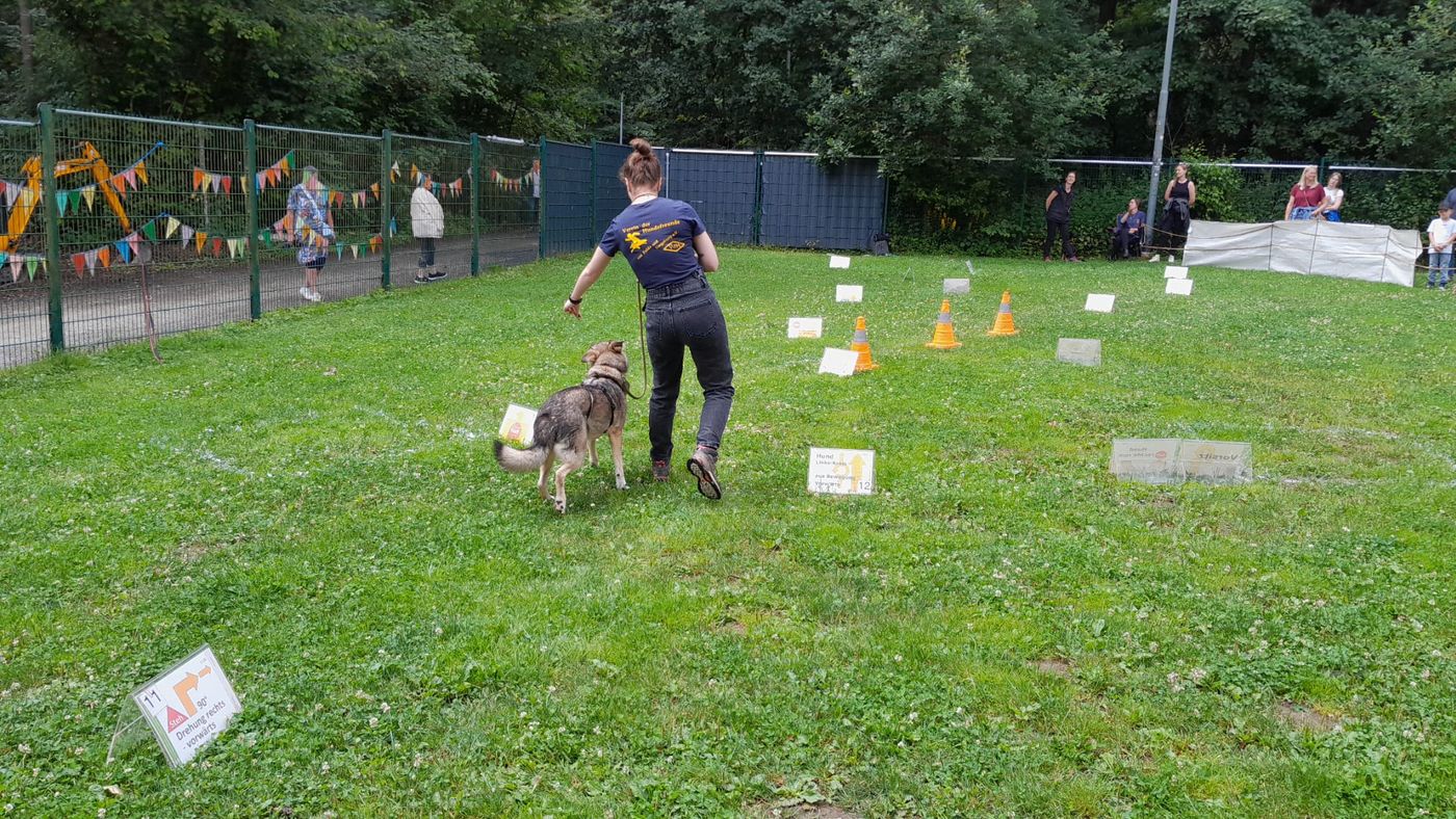 Ralley-O im Tierheim