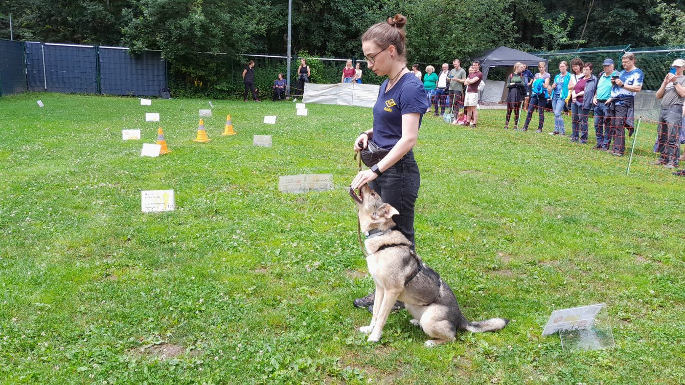 Ralley-O im Tierheim