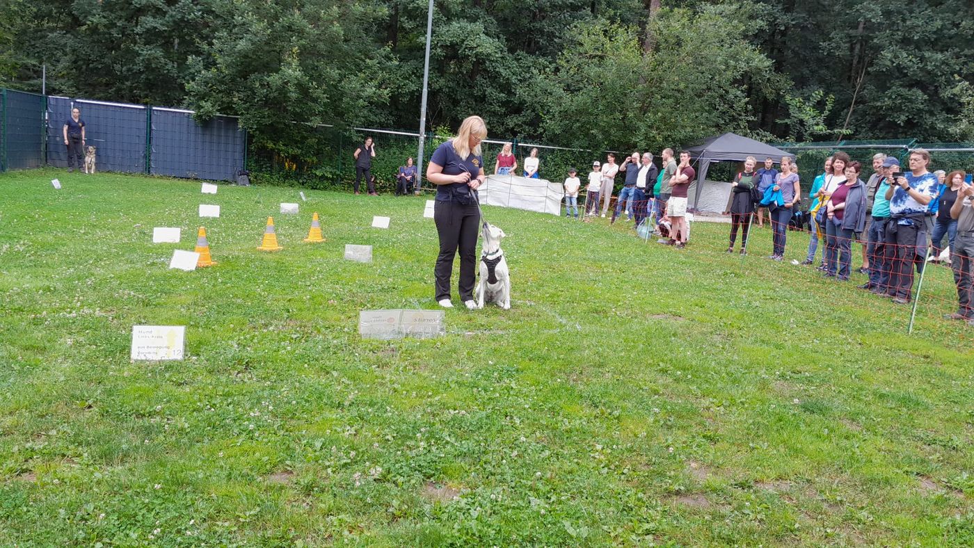 Ralley-O im Tierheim