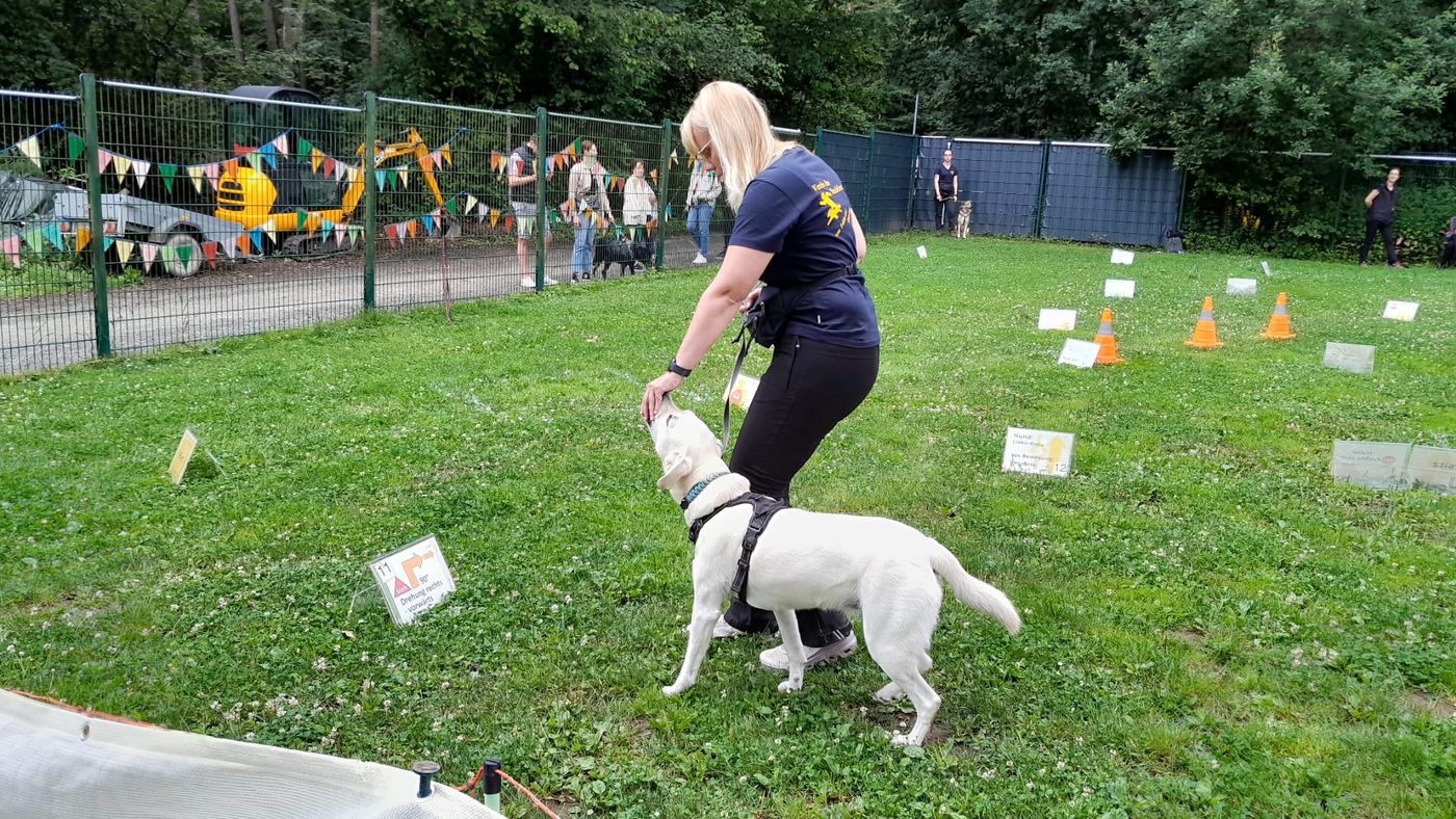 Ralley-O im Tierheim