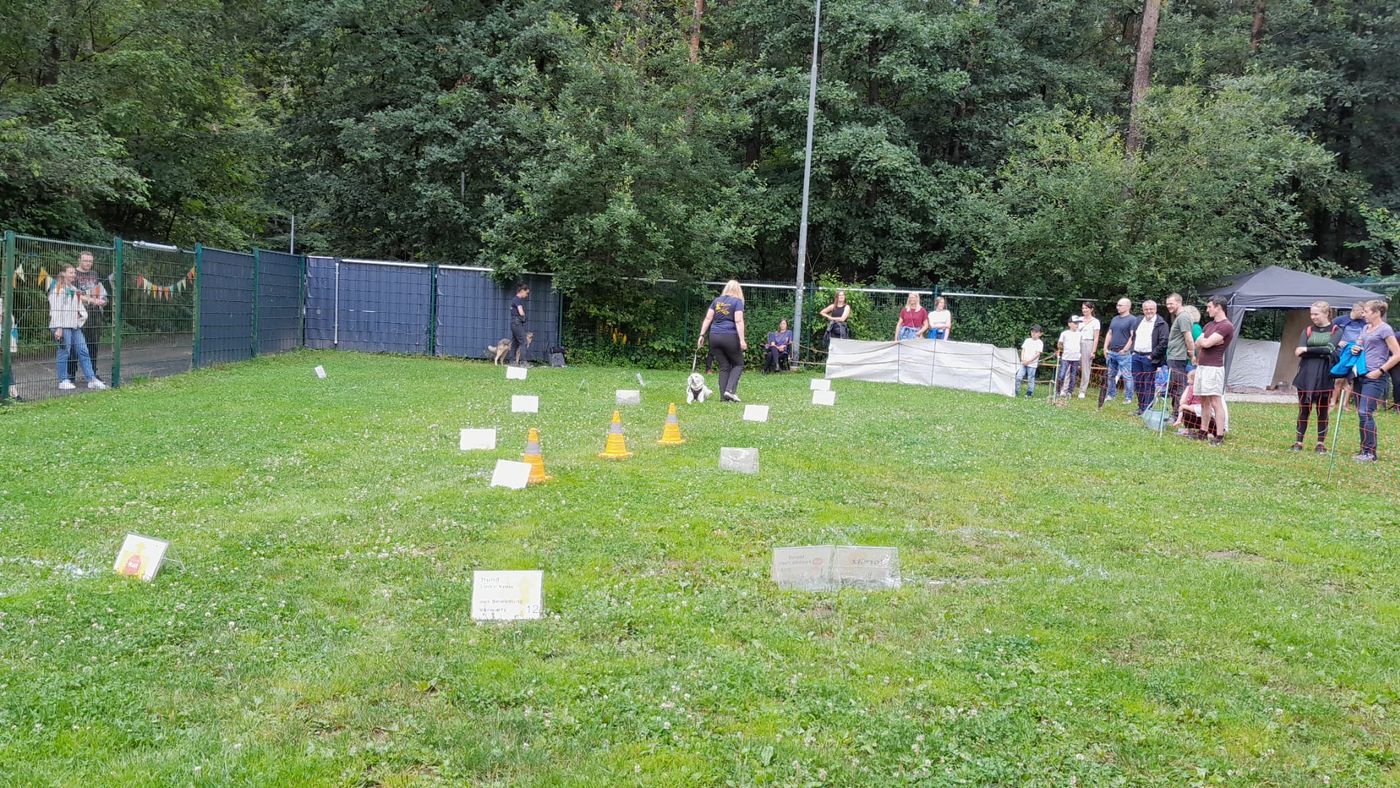 Ralley-O im Tierheim