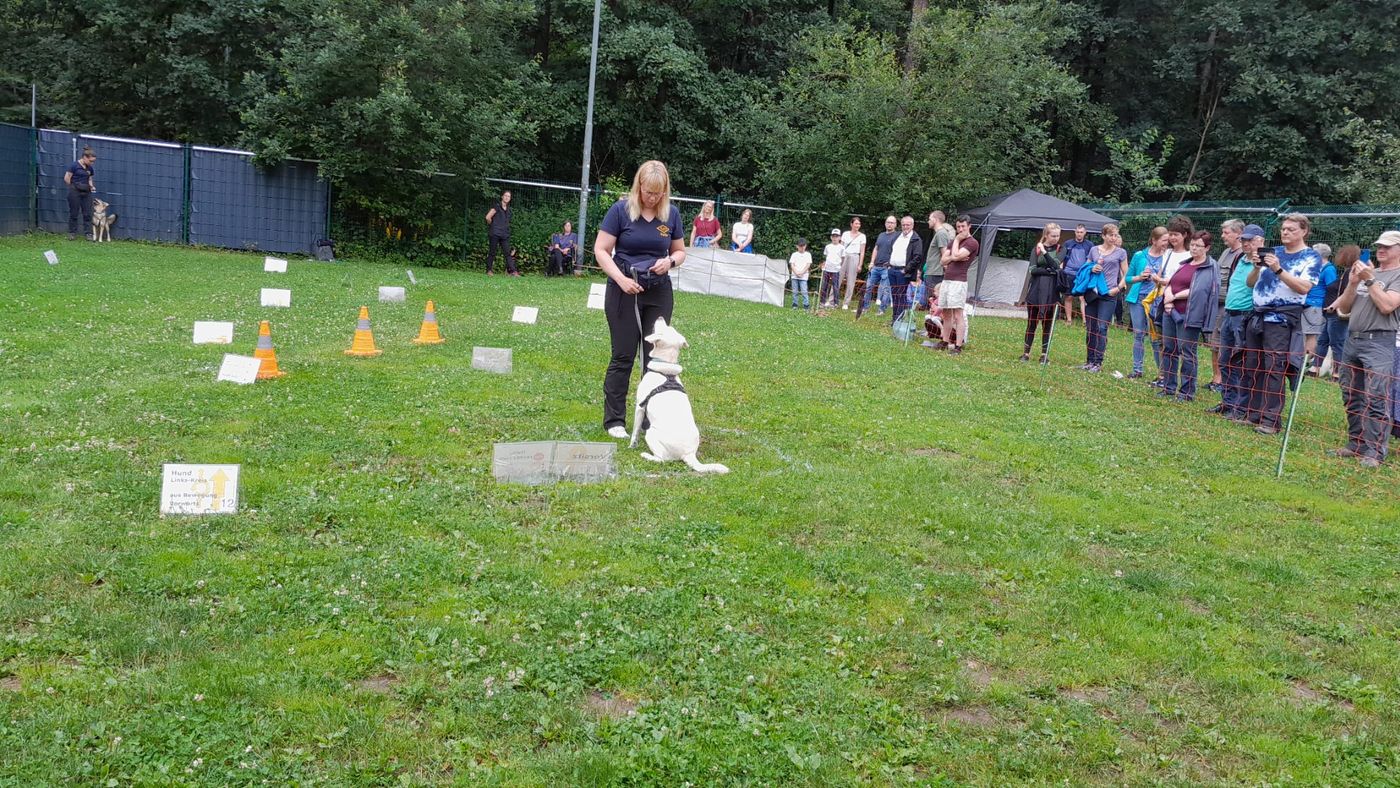 Ralley-O im Tierheim