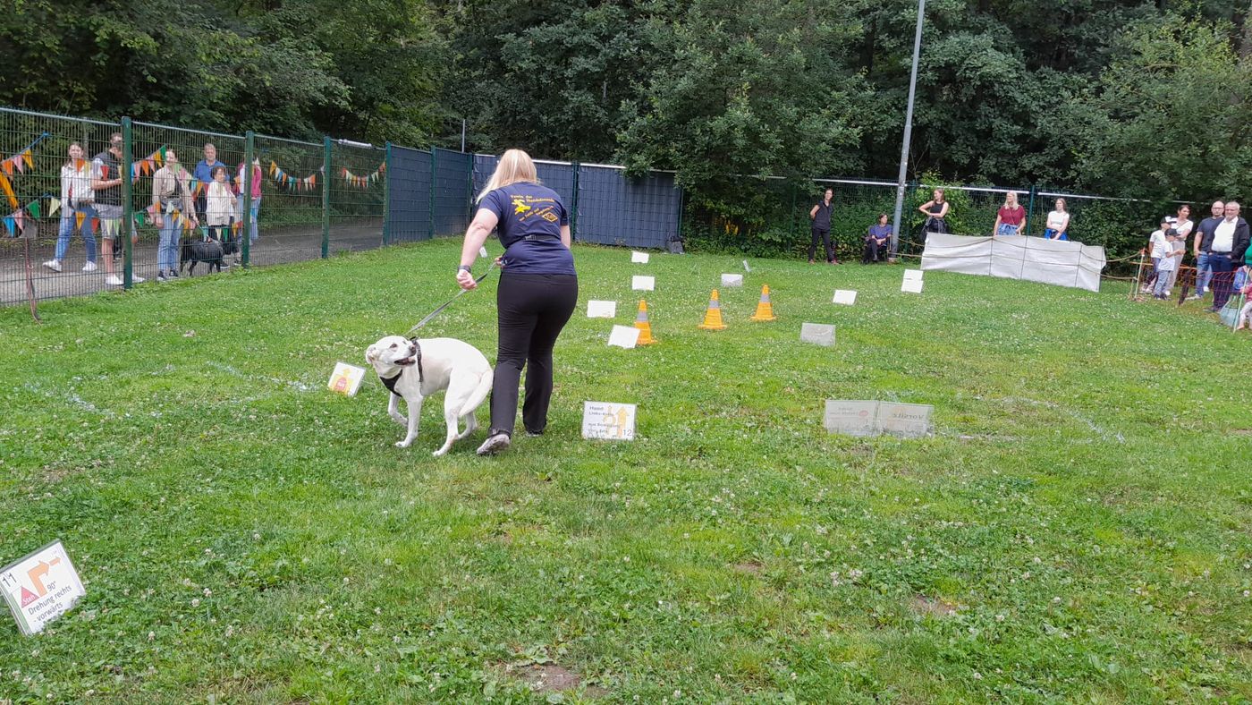Ralley-O im Tierheim