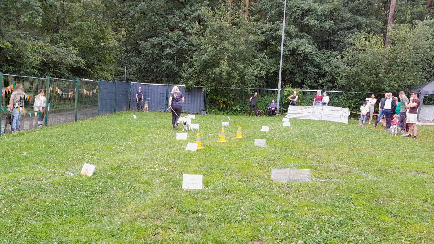 Ralley-O im Tierheim