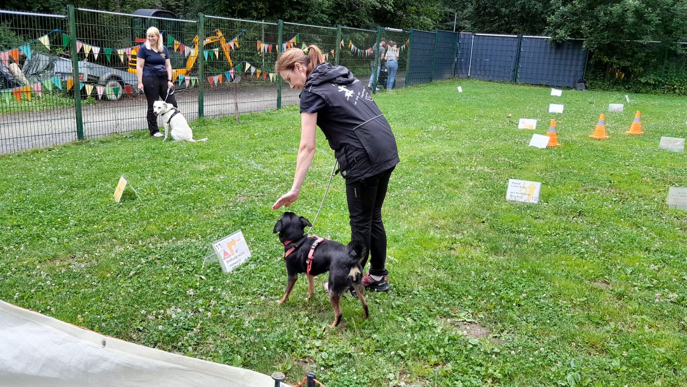 Ralley-O im Tierheim