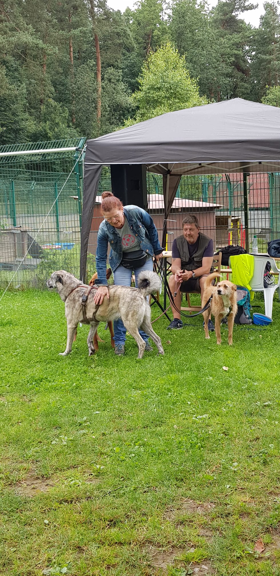 Ralley-O im Tierheim