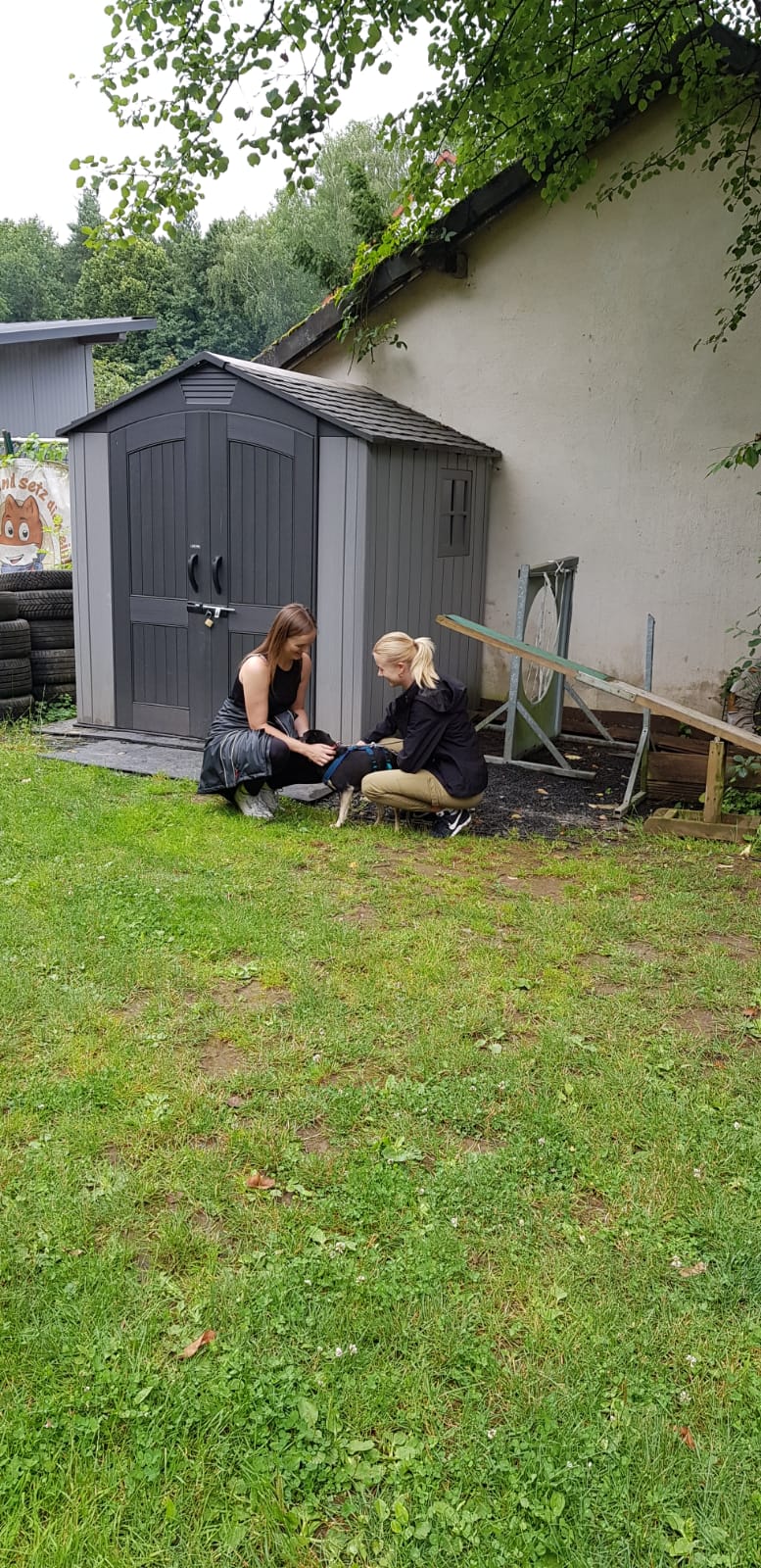 Ralley-O im Tierheim