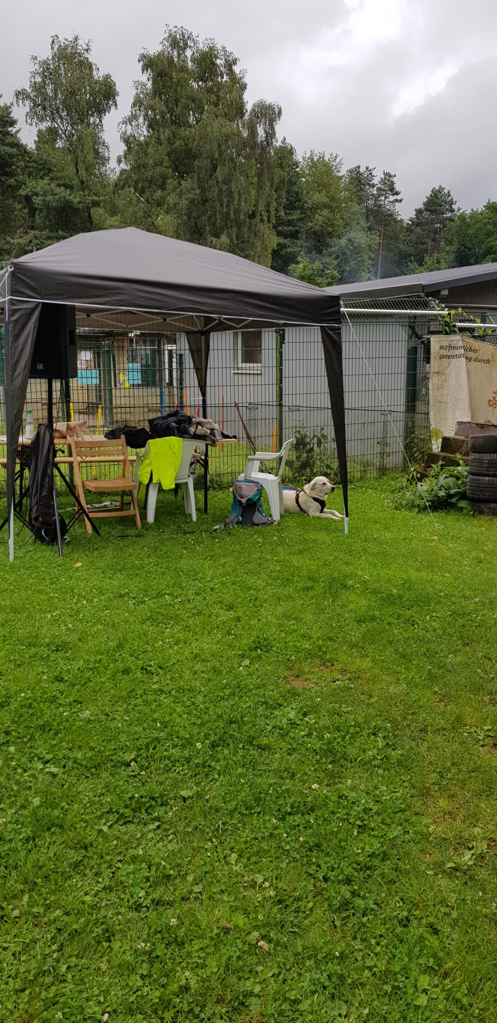 Ralley-O im Tierheim
