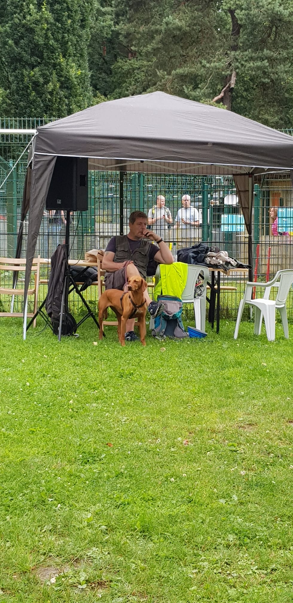 Ralley-O im Tierheim