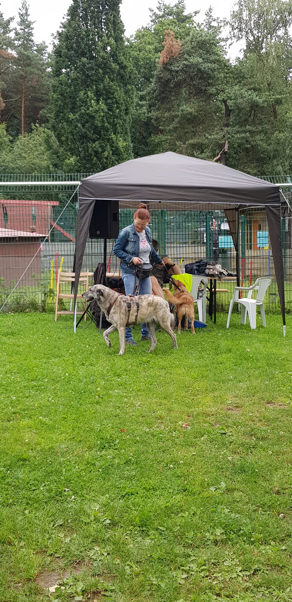 Ralley-O im Tierheim