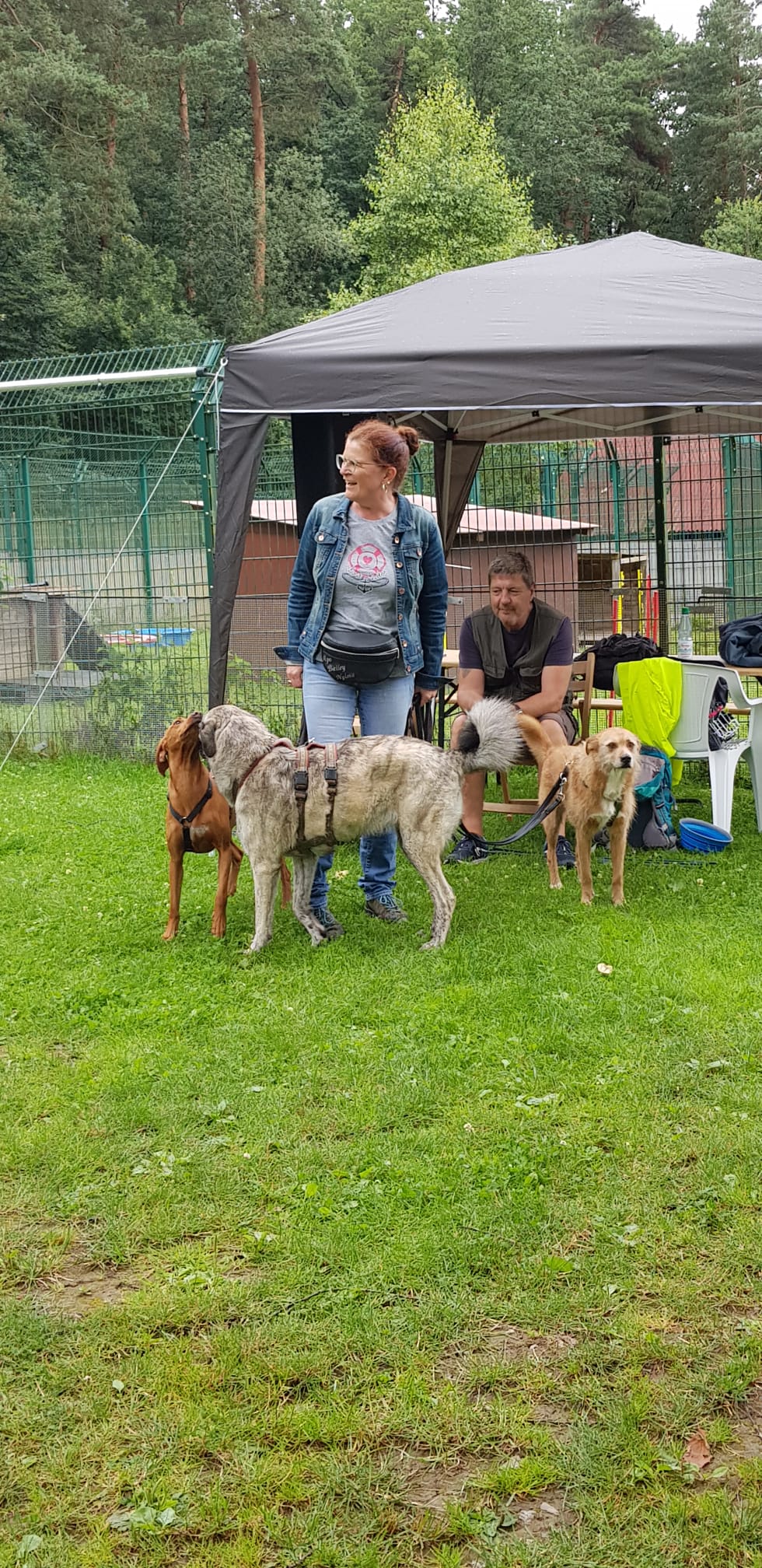 Ralley-O im Tierheim