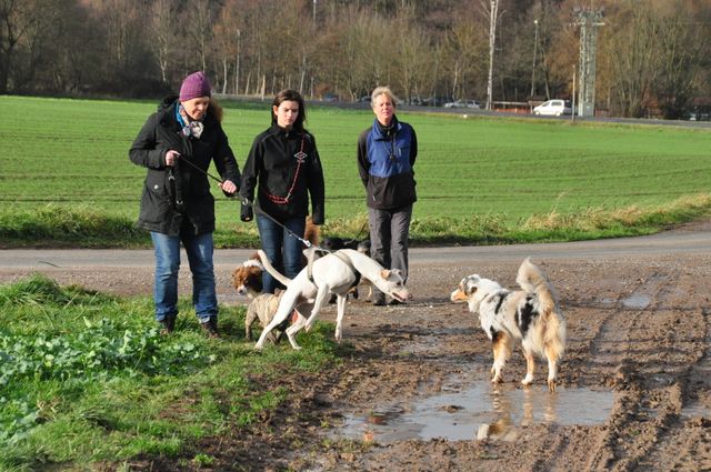 Saisonabschluss 2015