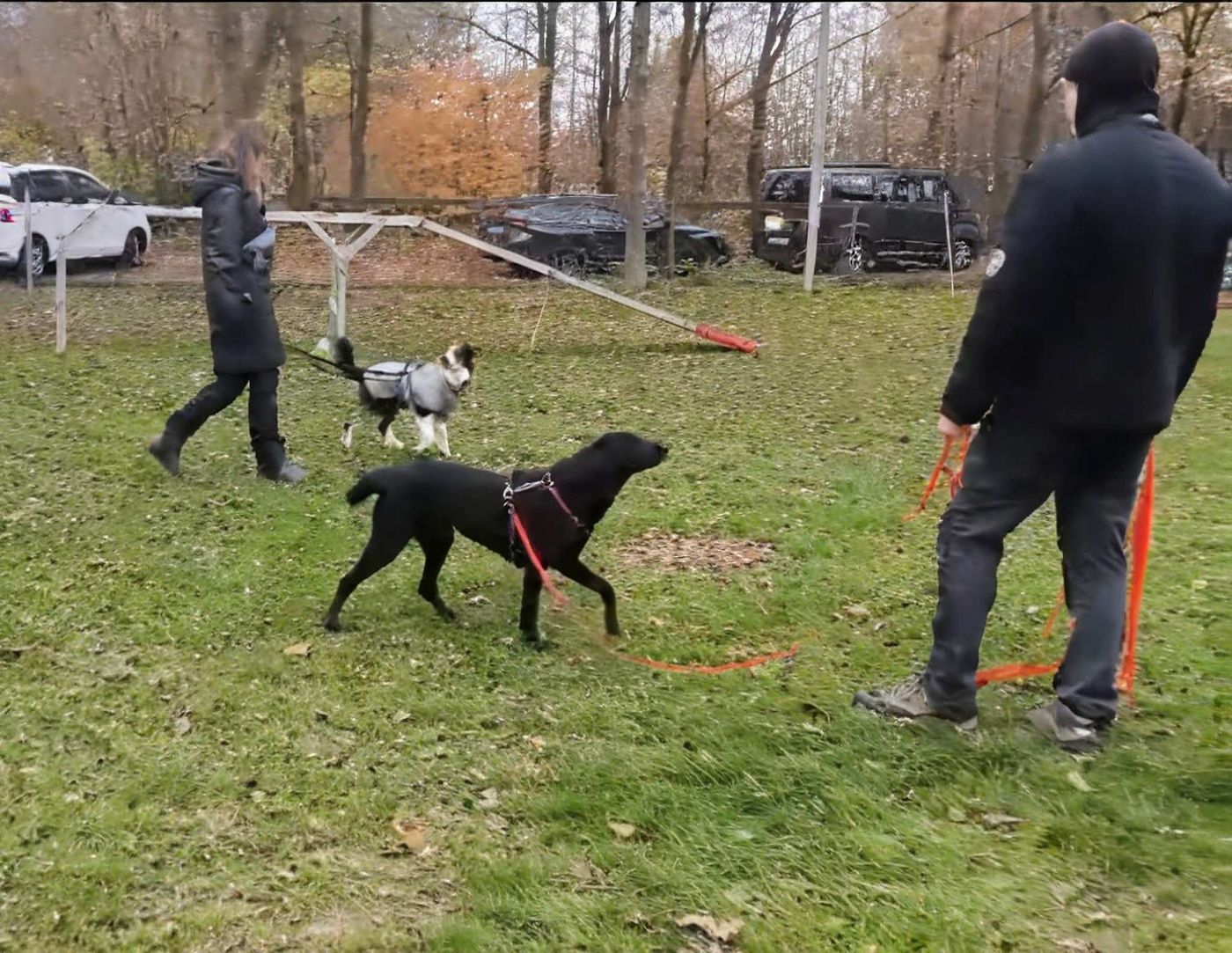Seminar Hundebegegnungen