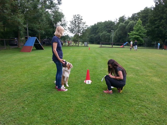 Sommerfest 2016