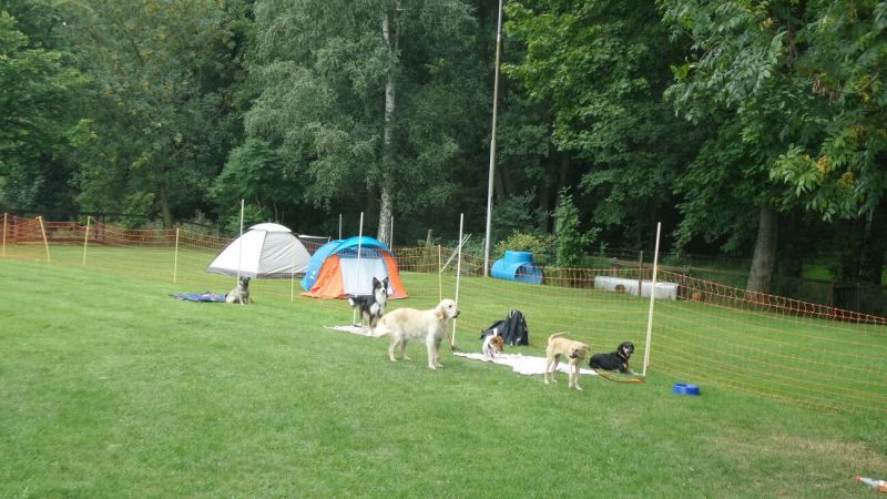 Sommerfest 2015