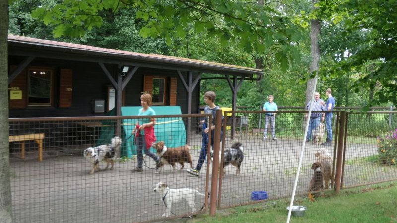 Sommerfest 2015