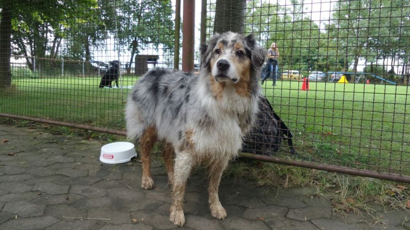 Sommerfest 2015