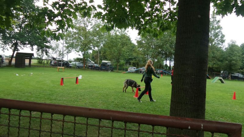 Sommerfest 2015