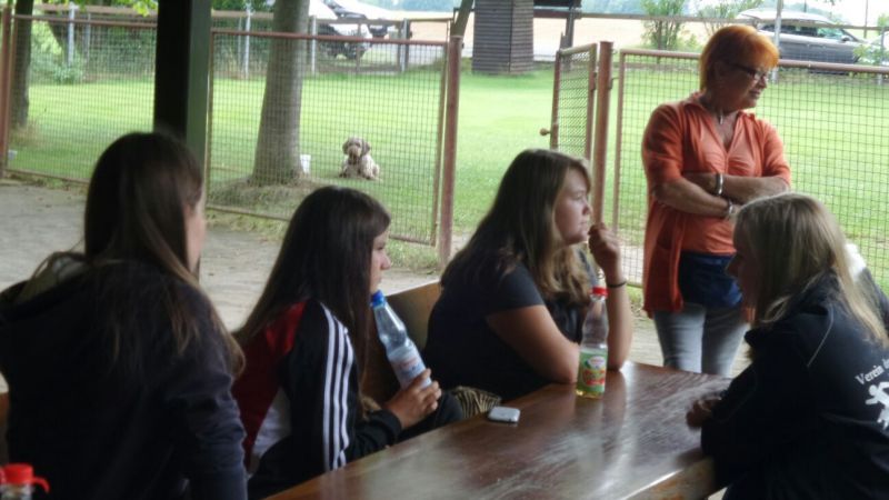 Sommerfest 2015
