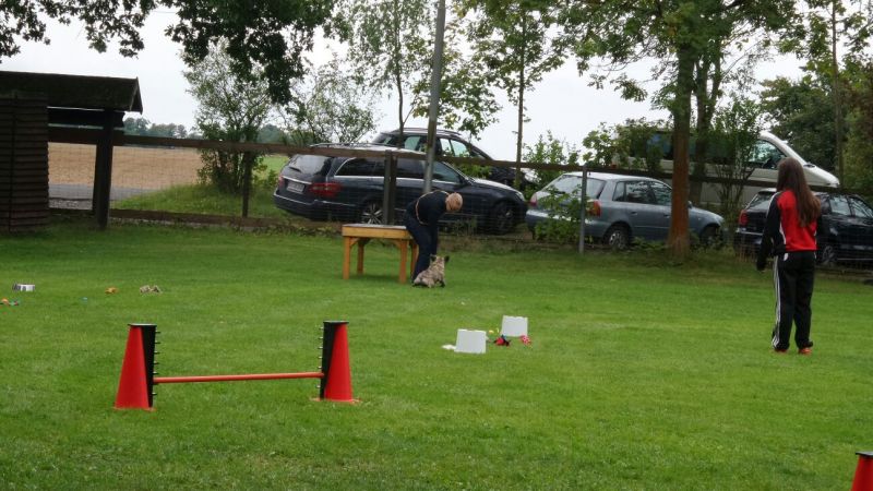 Sommerfest 2015