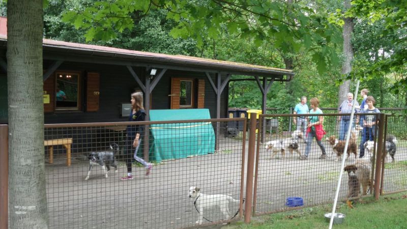 Sommerfest 2015